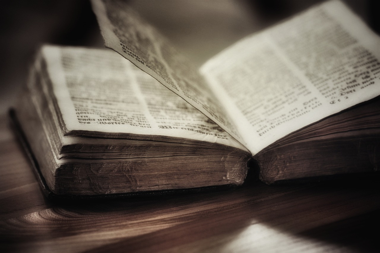 Premis Literaris de Narrativa i Poesia 2023