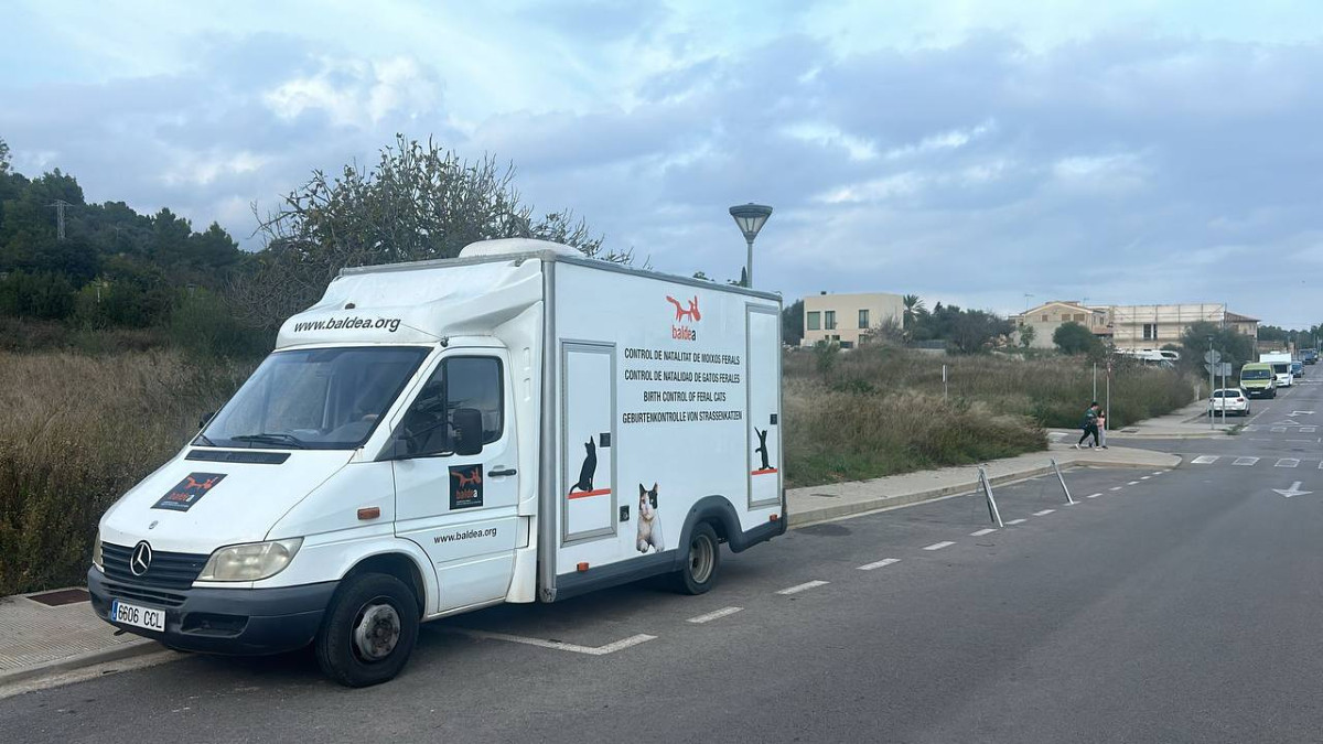 campanya