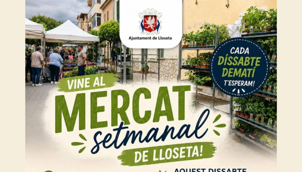 lloseta