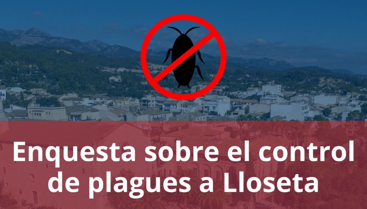 lloseta