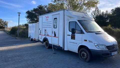 colònies felines a Lloseta