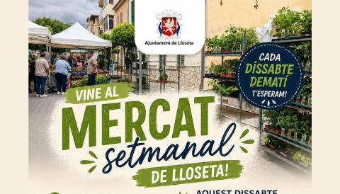 lloseta