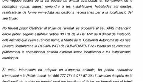 NOTA INFORMATIVA PER A L’ADOPCIÓ D’ANIMALS ABANDONATS